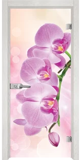 Стъклена интериорна врата Print G 13-3 Pink, Снежен бор